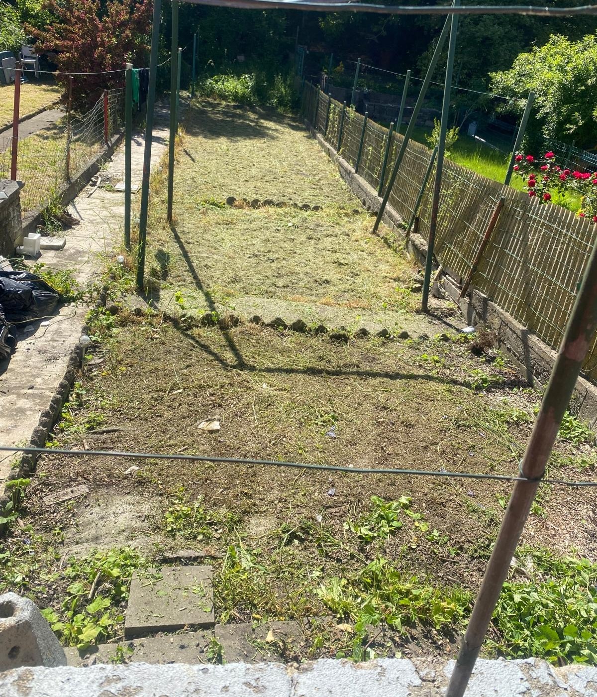 GARDEN PICTURE AFTER 2