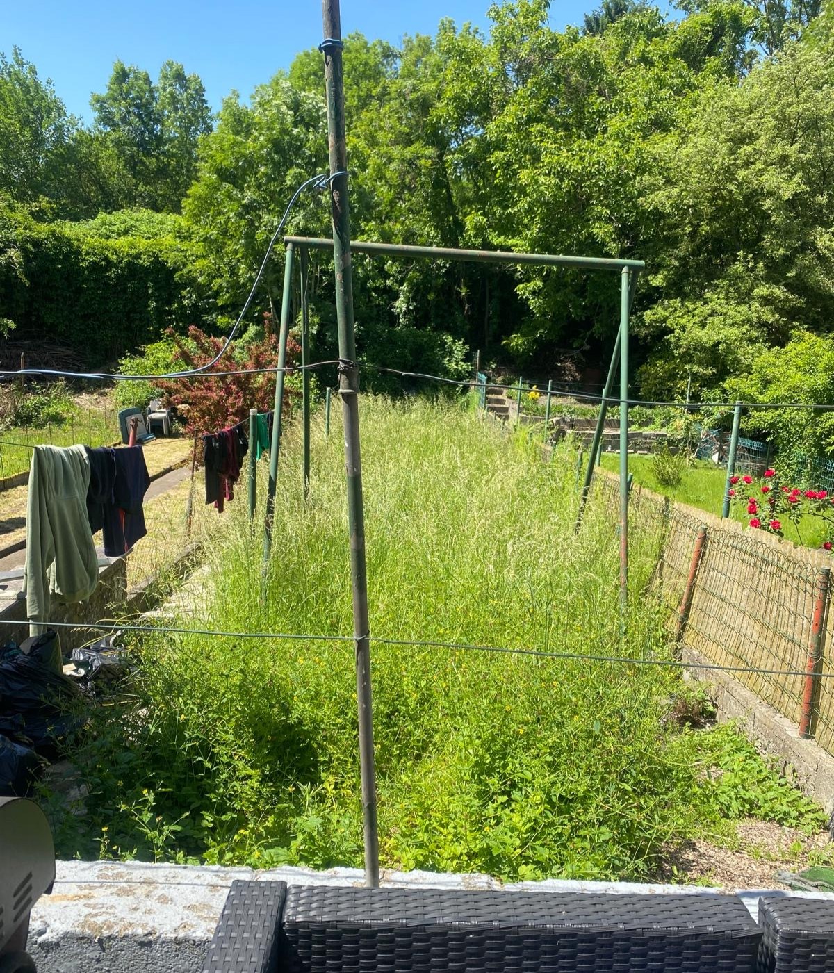 GARDEN PICTURE BEFORE 2