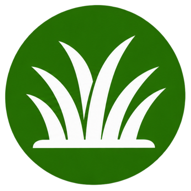 ChatGPT Image Aug 19 2026 10 26 50 PM